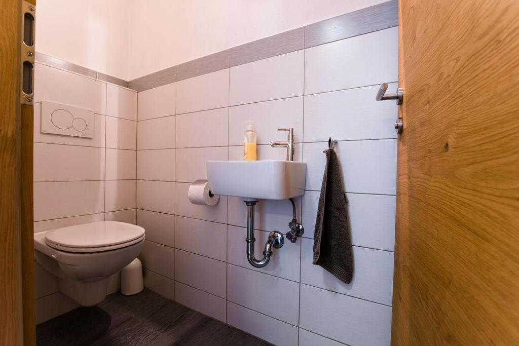 Alm Appartements ZellamSee Zell am See Extérieur photo